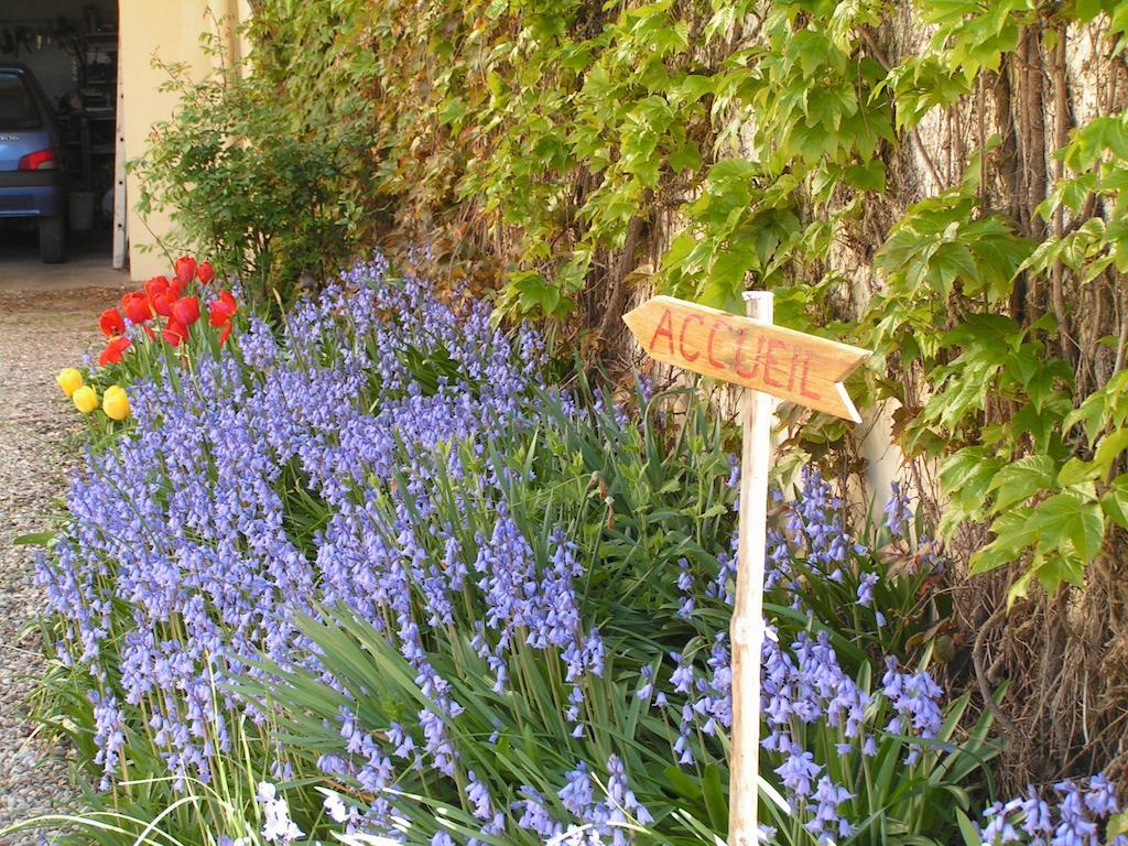 A L'Olivier Bed & Breakfast Montcaret Exterior photo